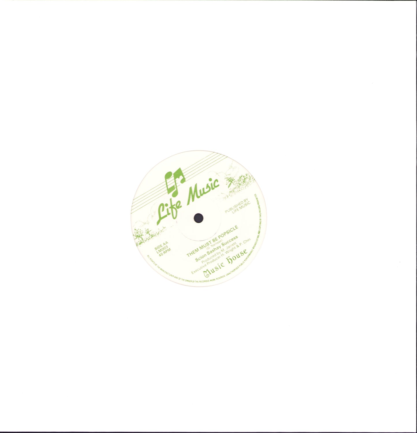 Scion Success - Young Africans / Them Must Be Popsicle Vinyl 12" Maxi-Single