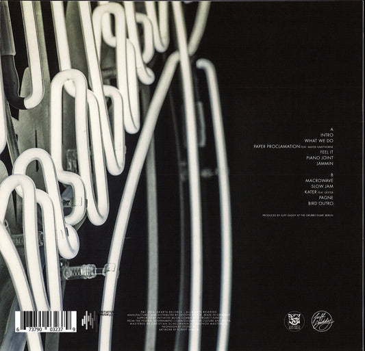 Suff Daddy – Birdsongs (Vinyl LP, DE Original, 2016)