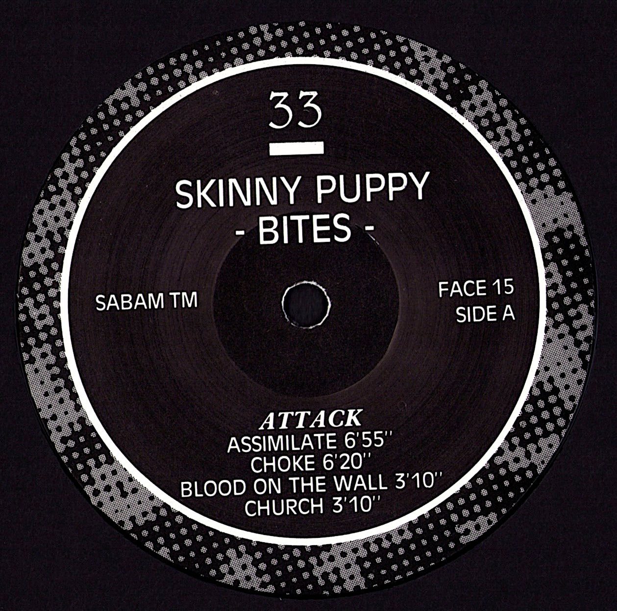 Trisomie 21 - Final Work Vinyl 12" Kopie