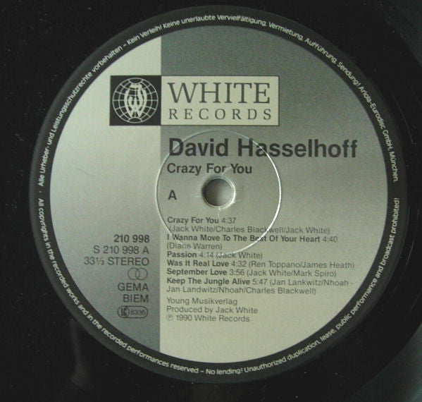 David Hasselhoff - Crazy For You Vinyl LP