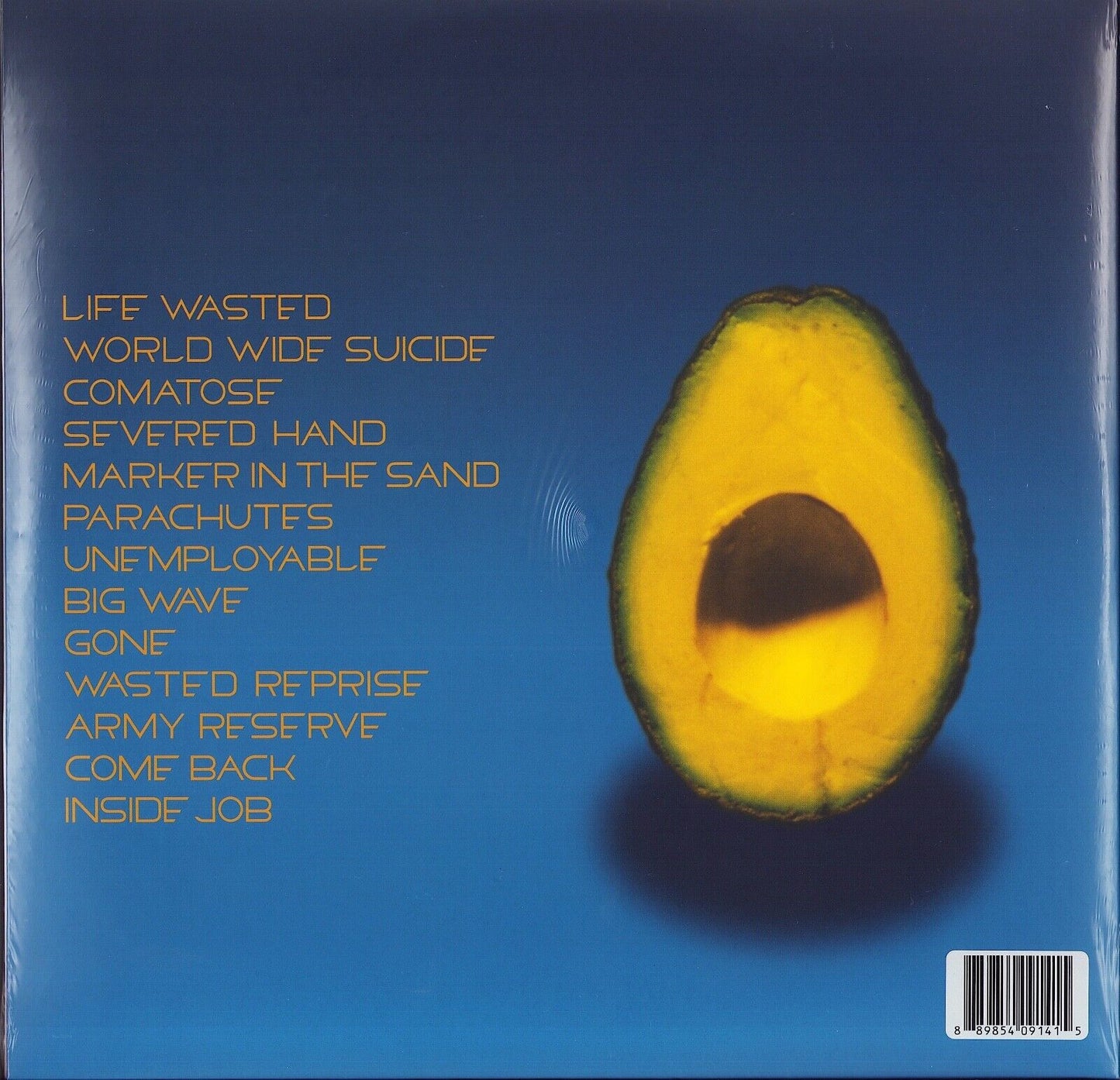 Pearl Jam - Pearl Jam Vinyl 2LP