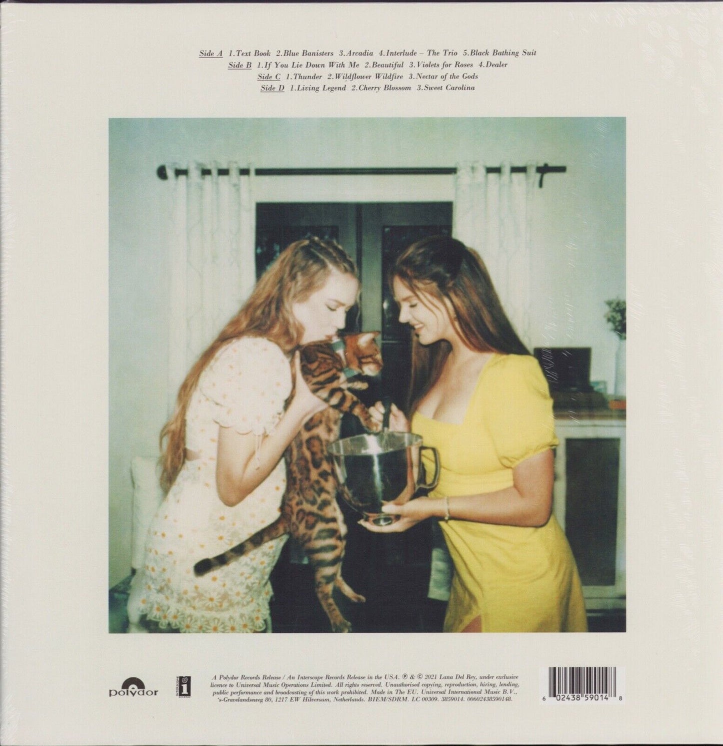 Lana Del Rey - Blue Banisters Vinyl 2LP