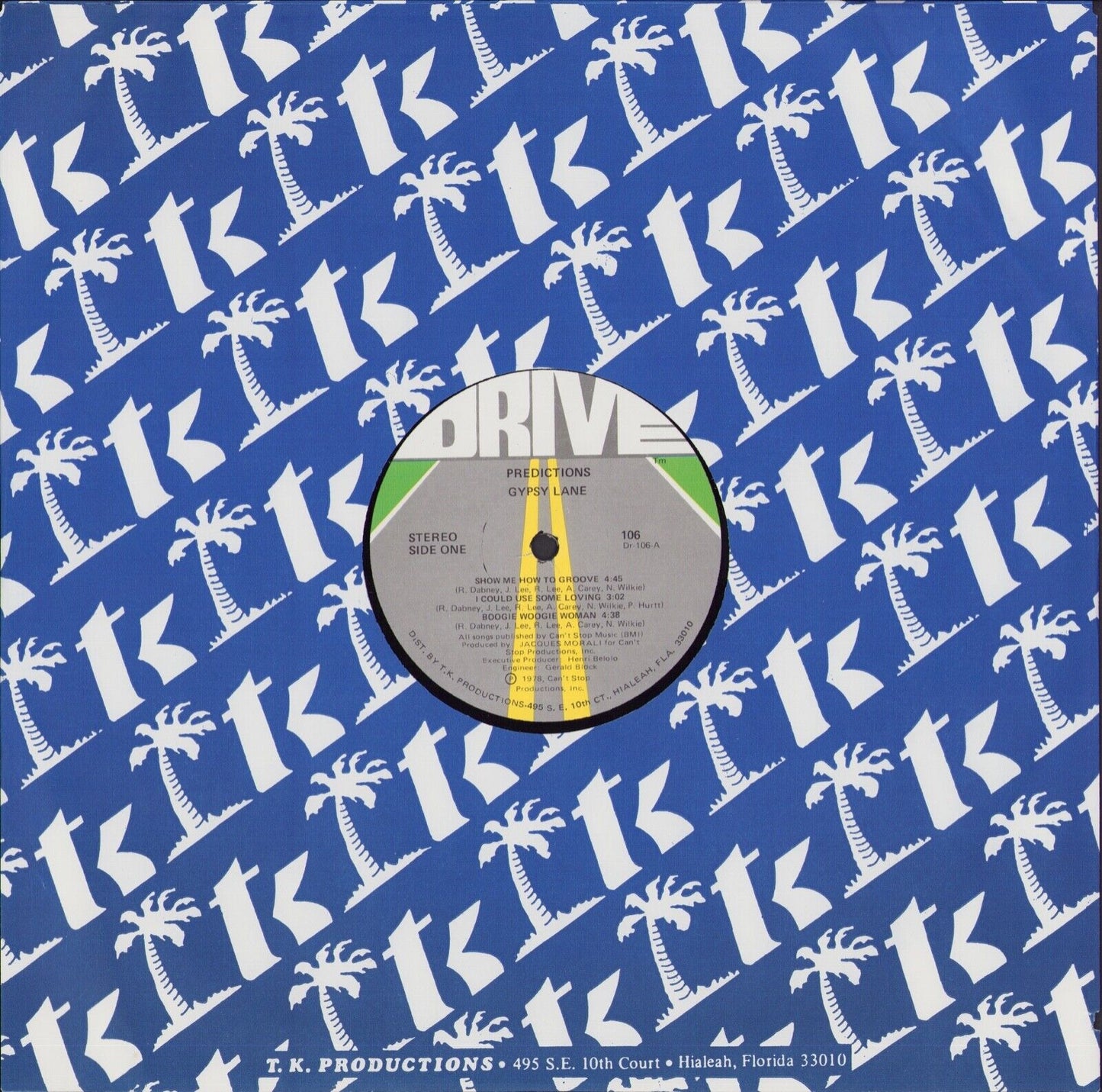 Gypsy Lane - Predictions Vinyl LP