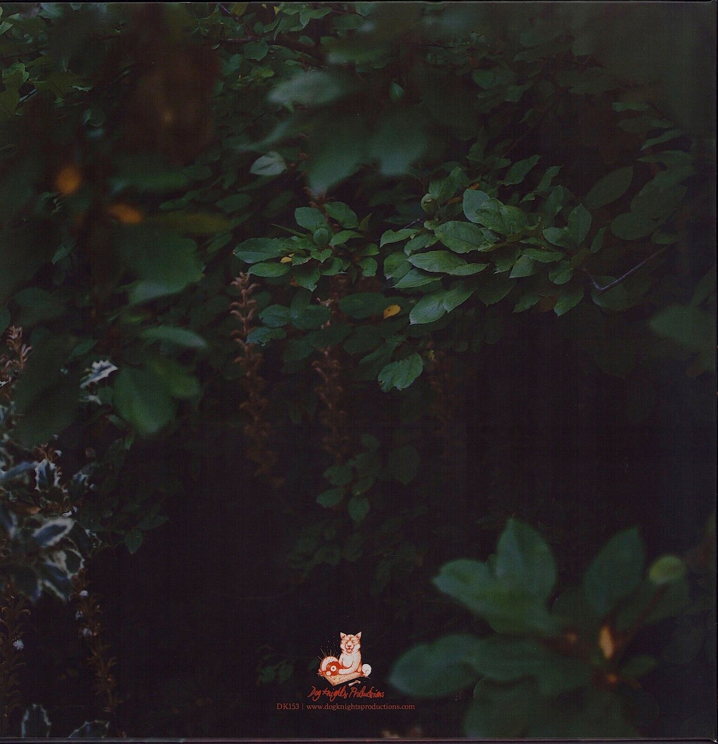 Raccoon City - For Nobody, Nowhere Mint Green/Forest Green Vinyl LP Limited Edition