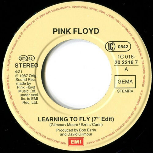 Pink Floyd - Learning To Fly / Terminal Frost Vinyl 7"