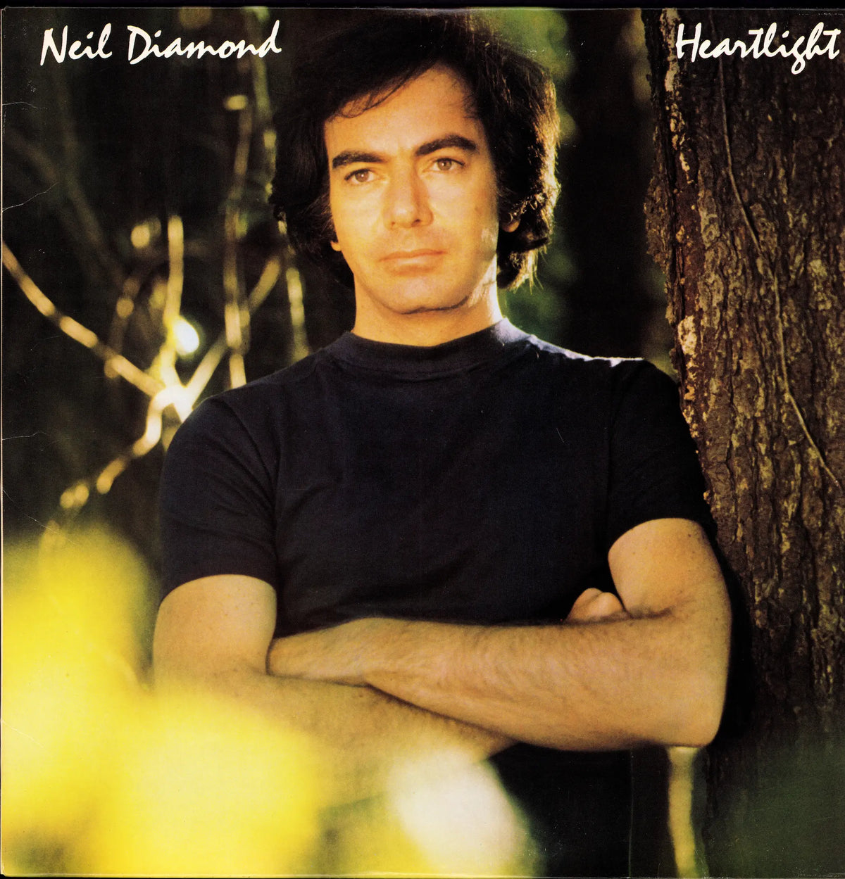 Neil Diamond - Heartlight (Vinyl LP | US Pressing | 1982)