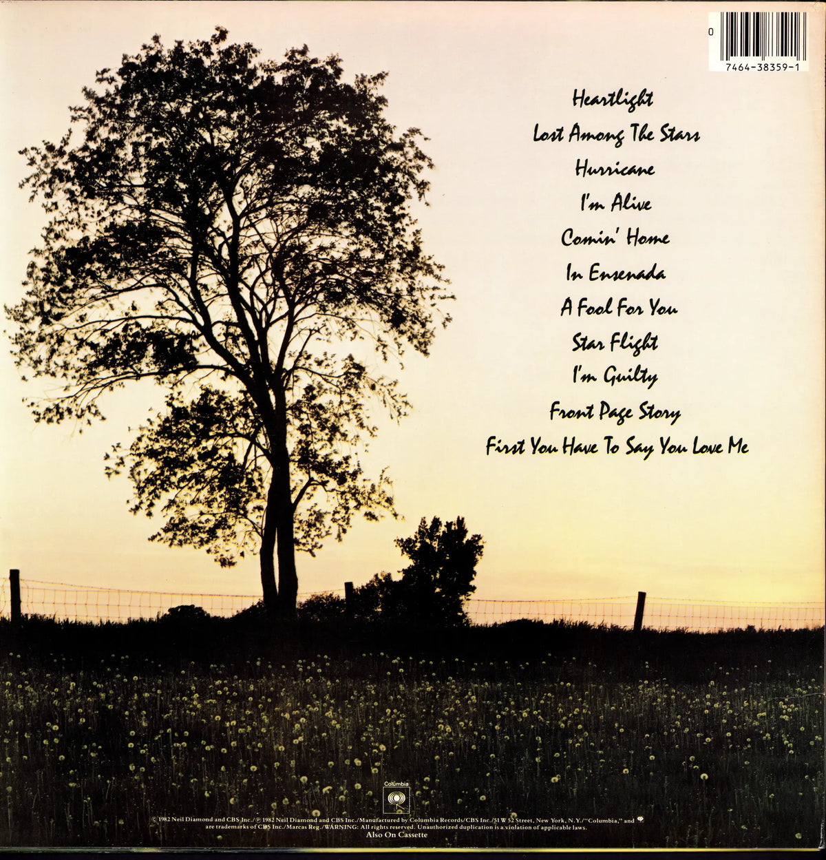 Neil Diamond - Heartlight (Vinyl LP | US Pressing | 1982)
