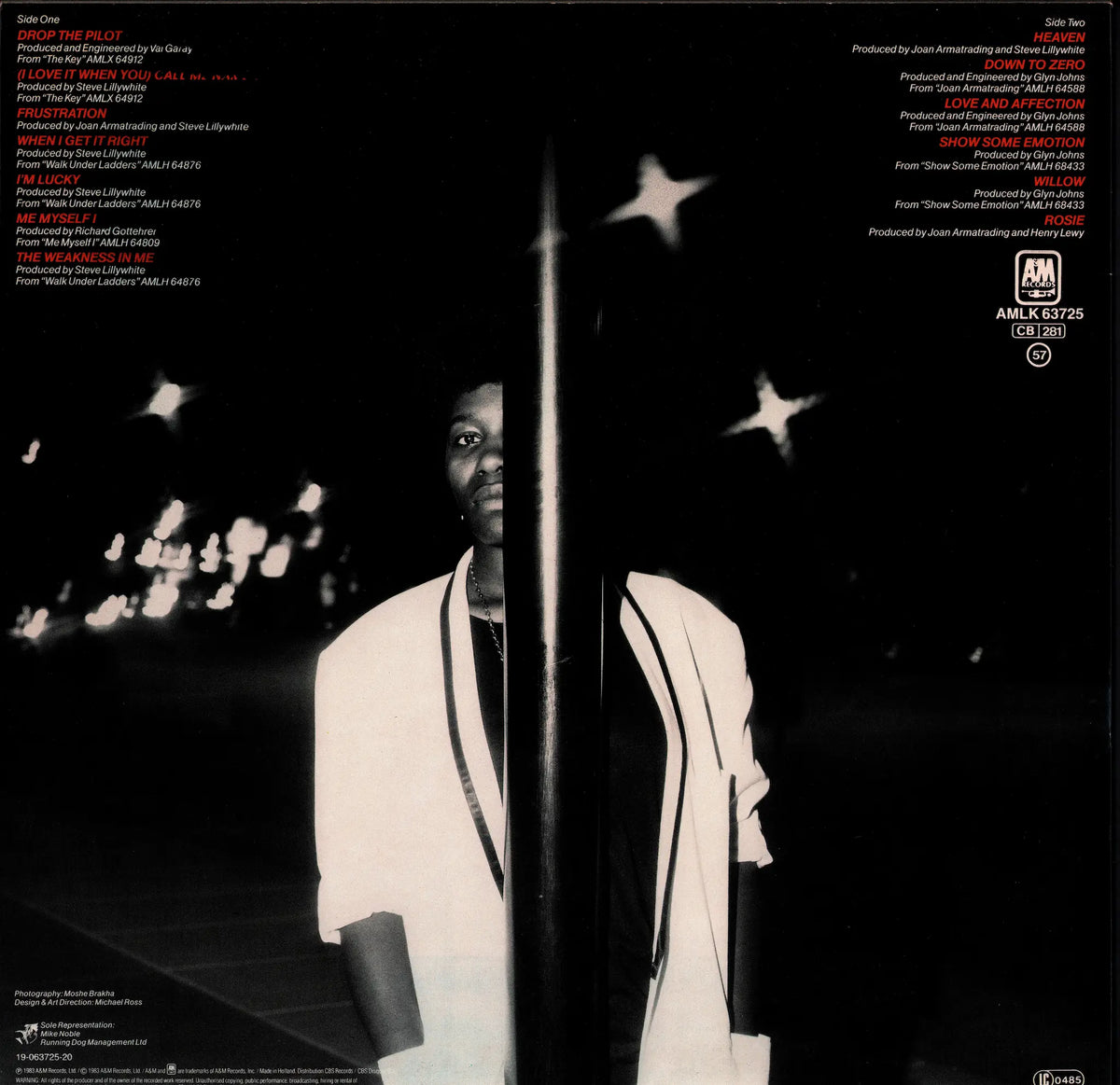 Linda Clifford - If My Friends Could See Me Now Vinyl LP | 1978 Kopie Kopie