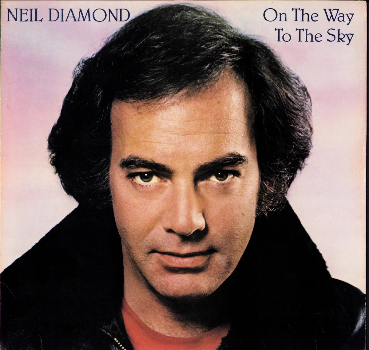 Neil Diamond - On The Way To The Sky (Vinyl LP | US Pressing | 1981)