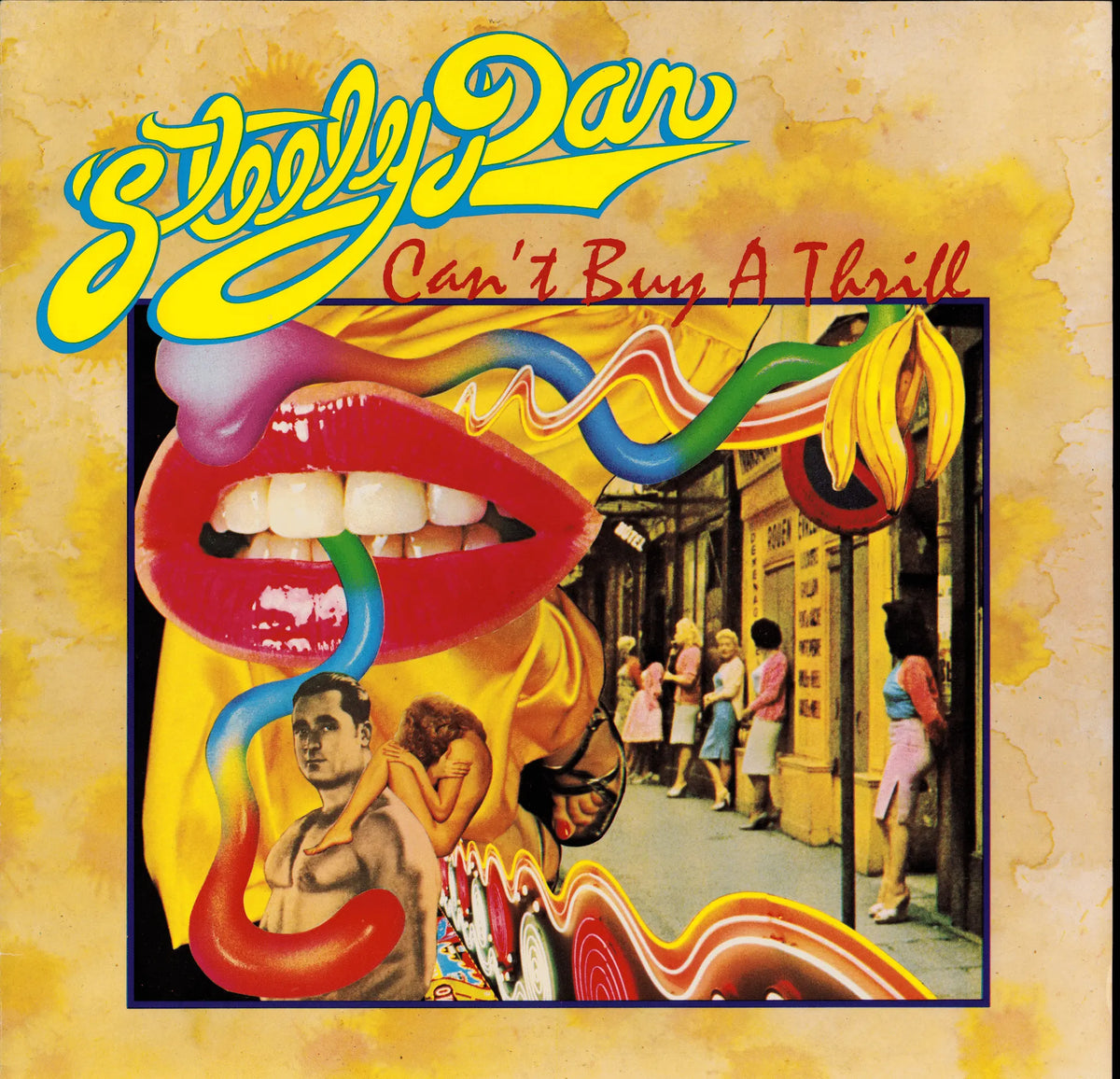 Steely Dan – Can't Buy A Thrill Vinyl LP | DE Reissue | 1976