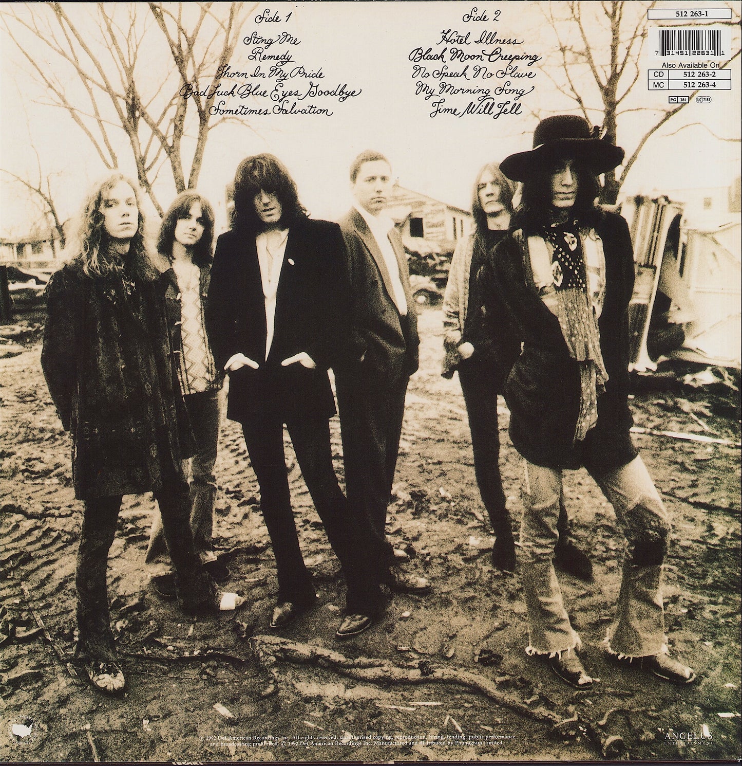 The Black Crowes ‎- The Southern Harmony And Musical Companion Vinyl LP