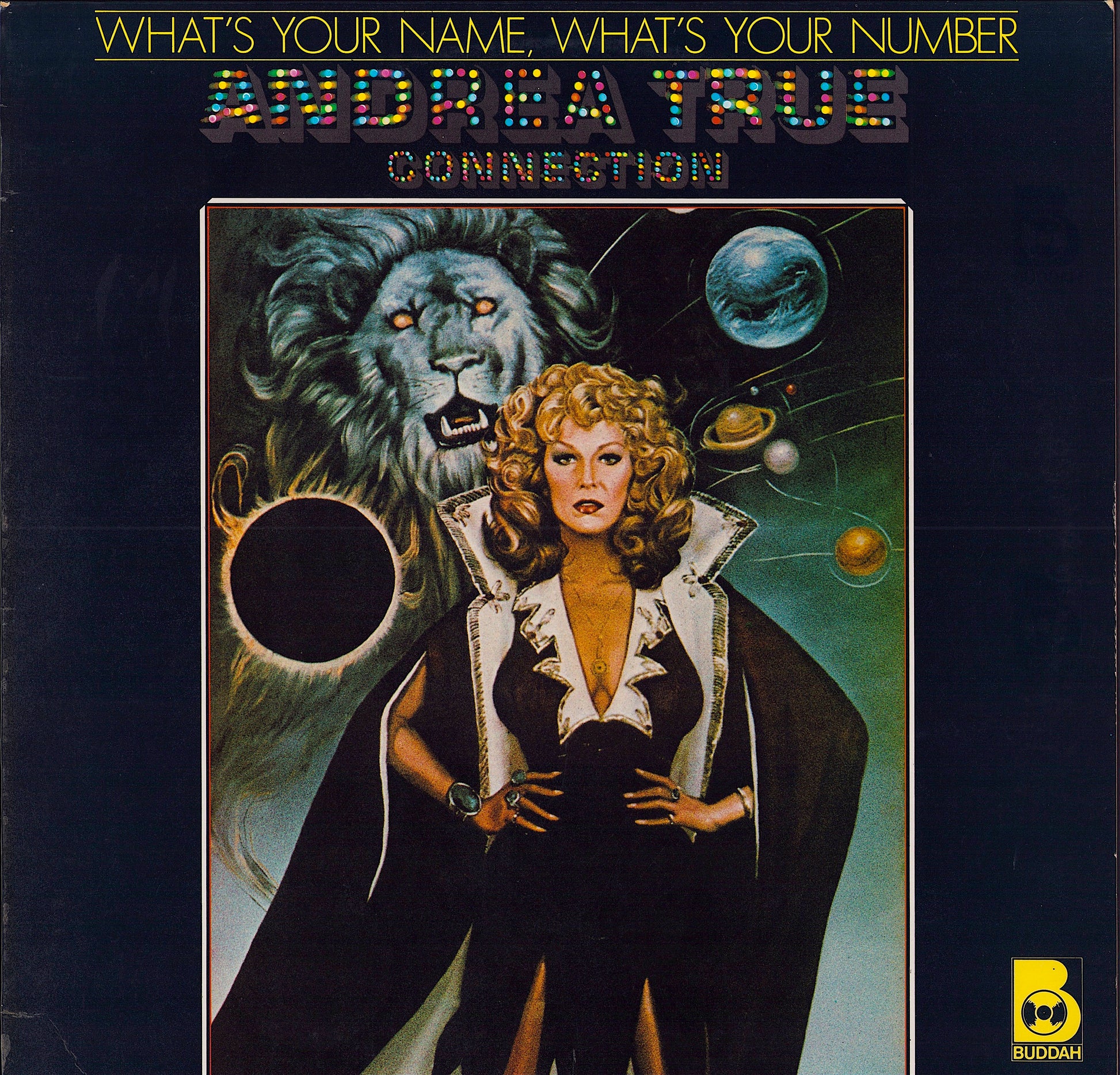 Andrea True Connection - What's Your Name, What's Your Number (Vinyl LP)