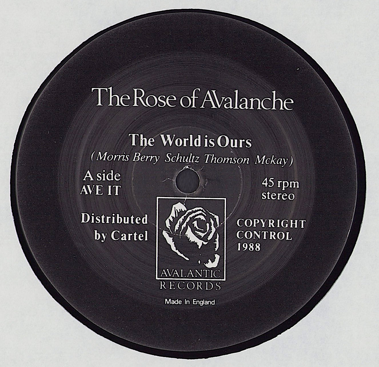The Rose Of Avalanche ‎- The World Is Ours Vinyl 12"
