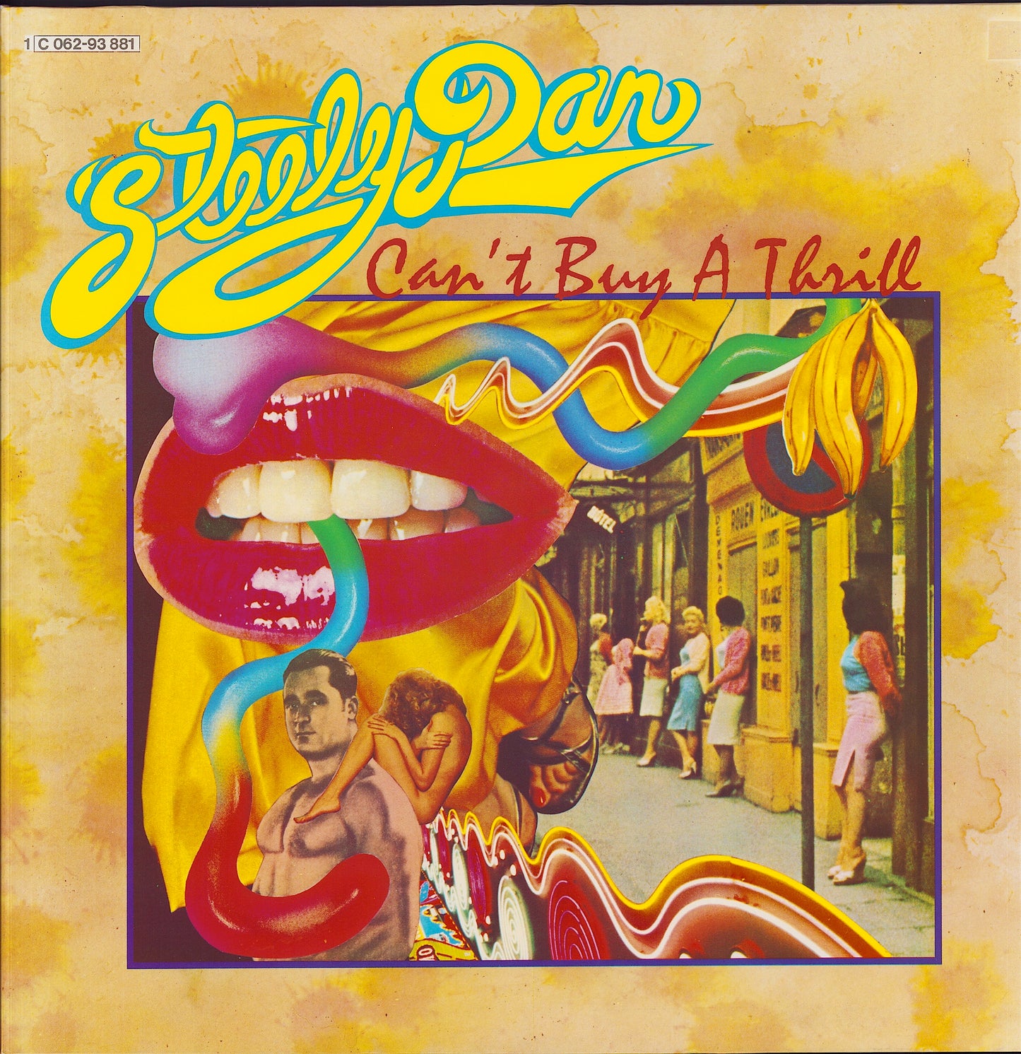 Steely Dan ‎- Can't Buy A Thrill (Vinyl LP)