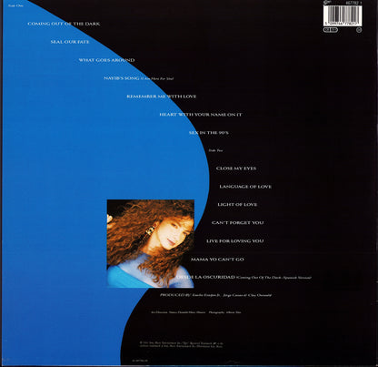 Gloria Estefan - Into The Light Vinyl LP