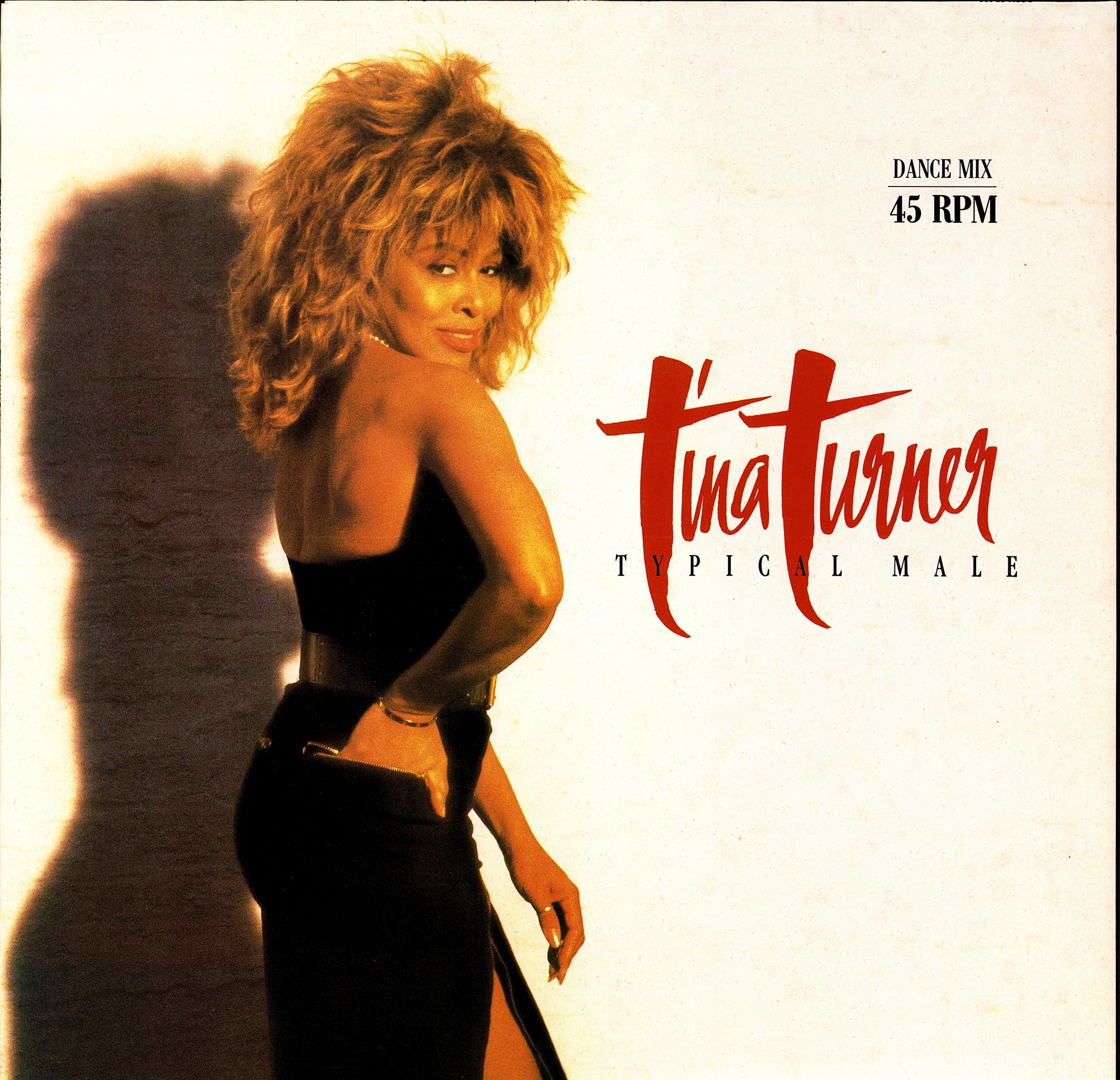 Tina Turner – Typical Male Dance Mix Vinyl 12" Maxi-Single | EU Original | 1986