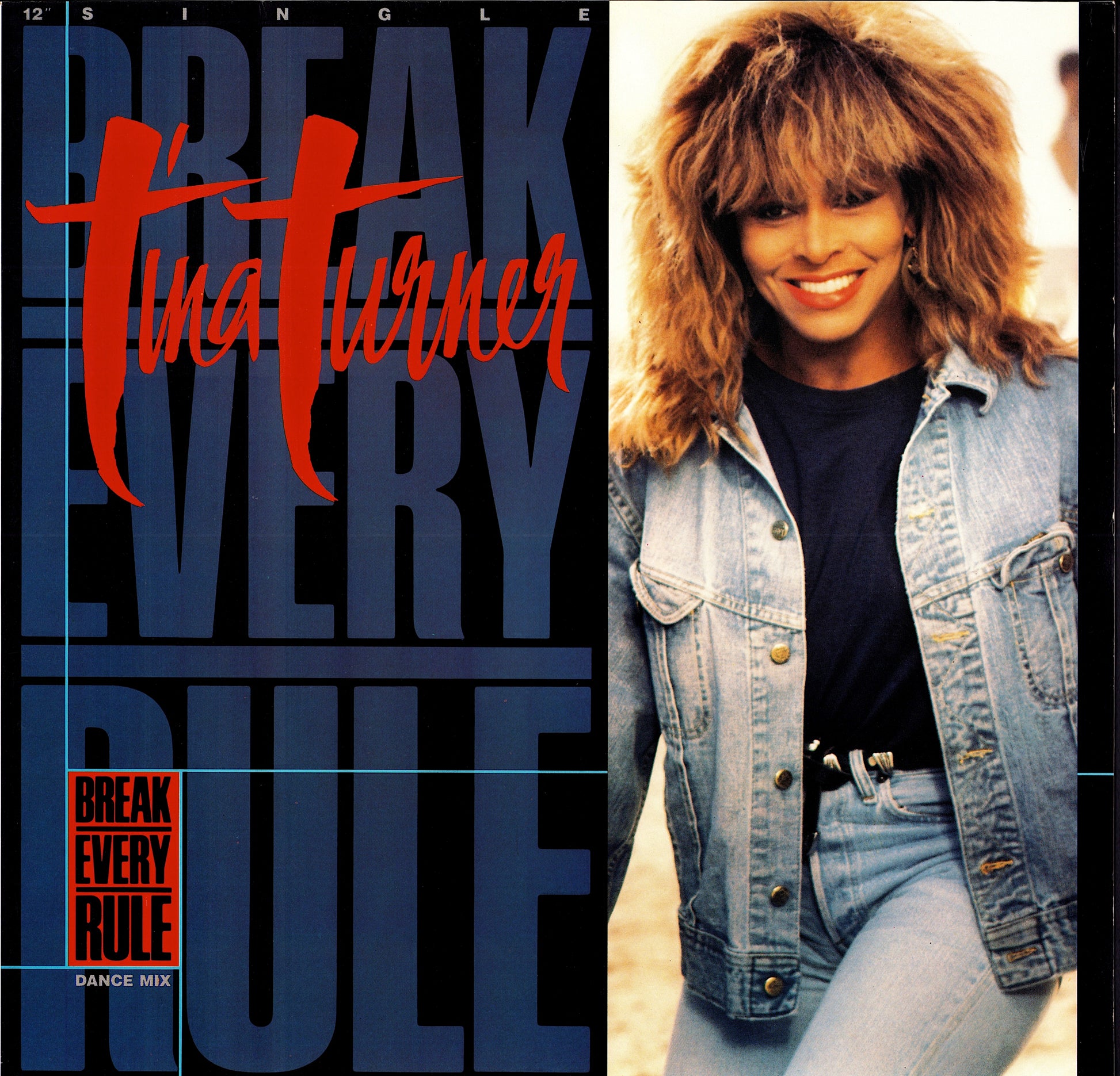 Tina Turner ‎- What's Love Got To Do With It Extended Version Vinyl 12" Kopie
