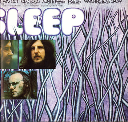 Big Sleep - Bluebell Wood Vinyl LP