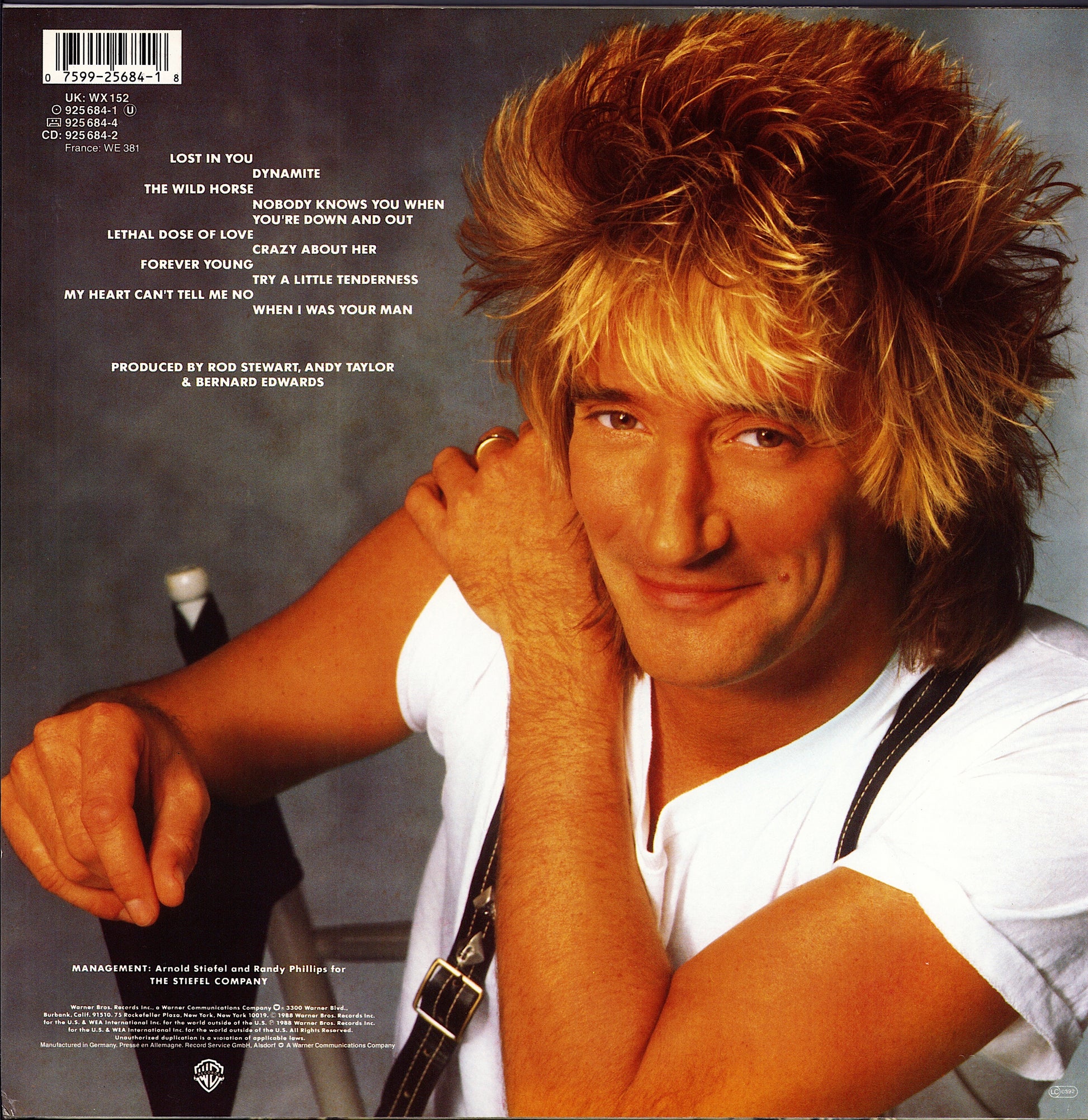 Rod Stewart – Out Of Order Vinyl LP