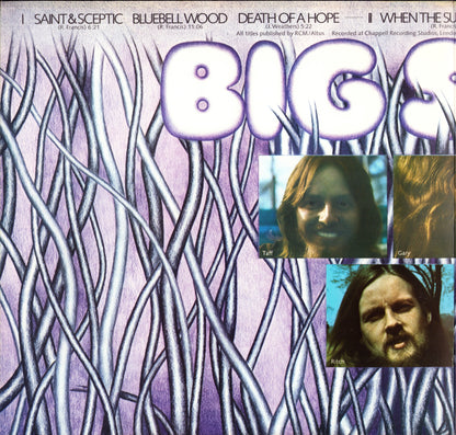 Big Sleep - Bluebell Wood Vinyl LP