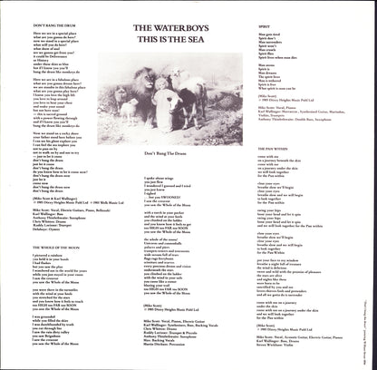 The Waterboys