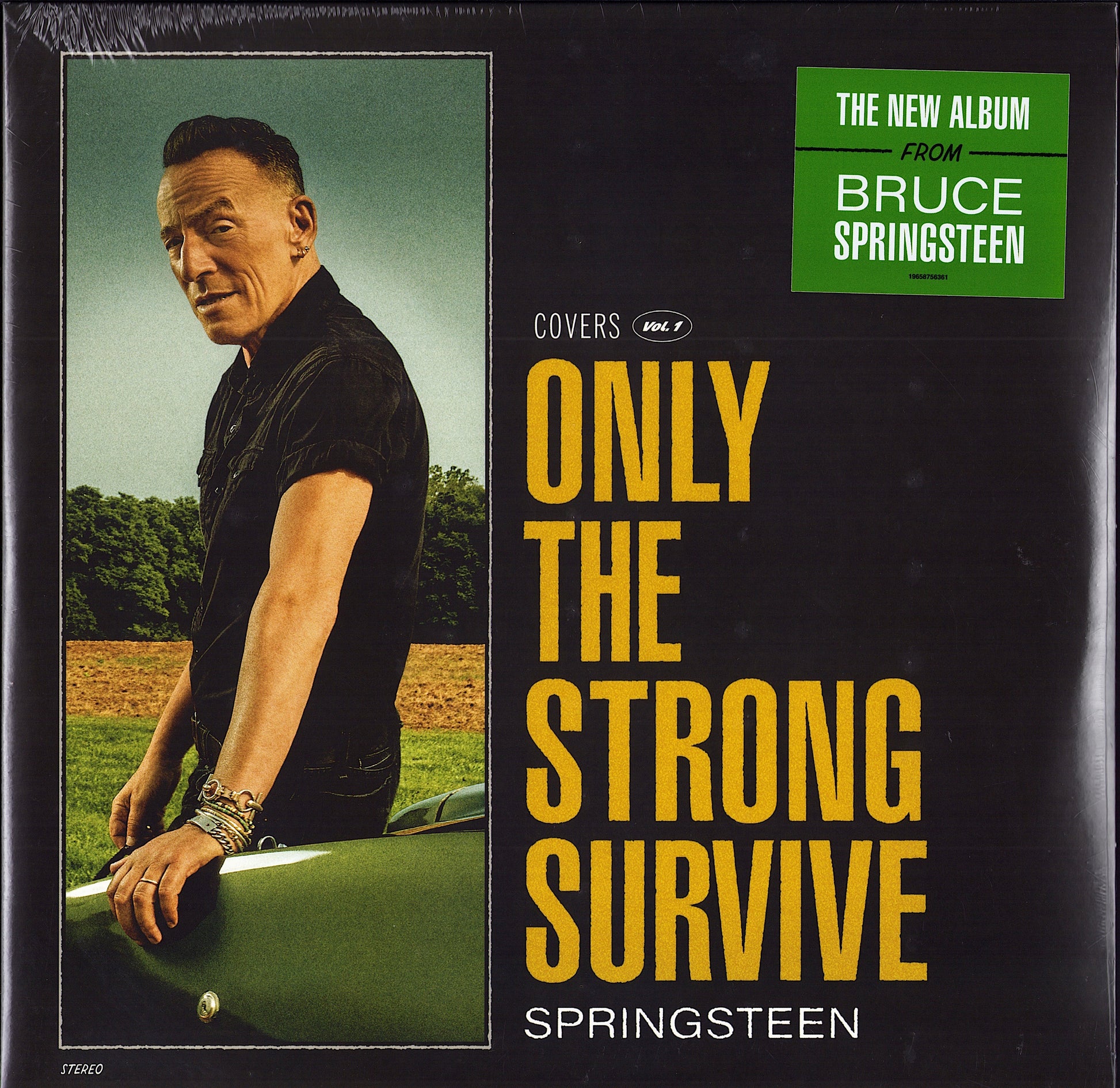 Bruce Springsteen – Only The Strong Survive Vinyl 2LP