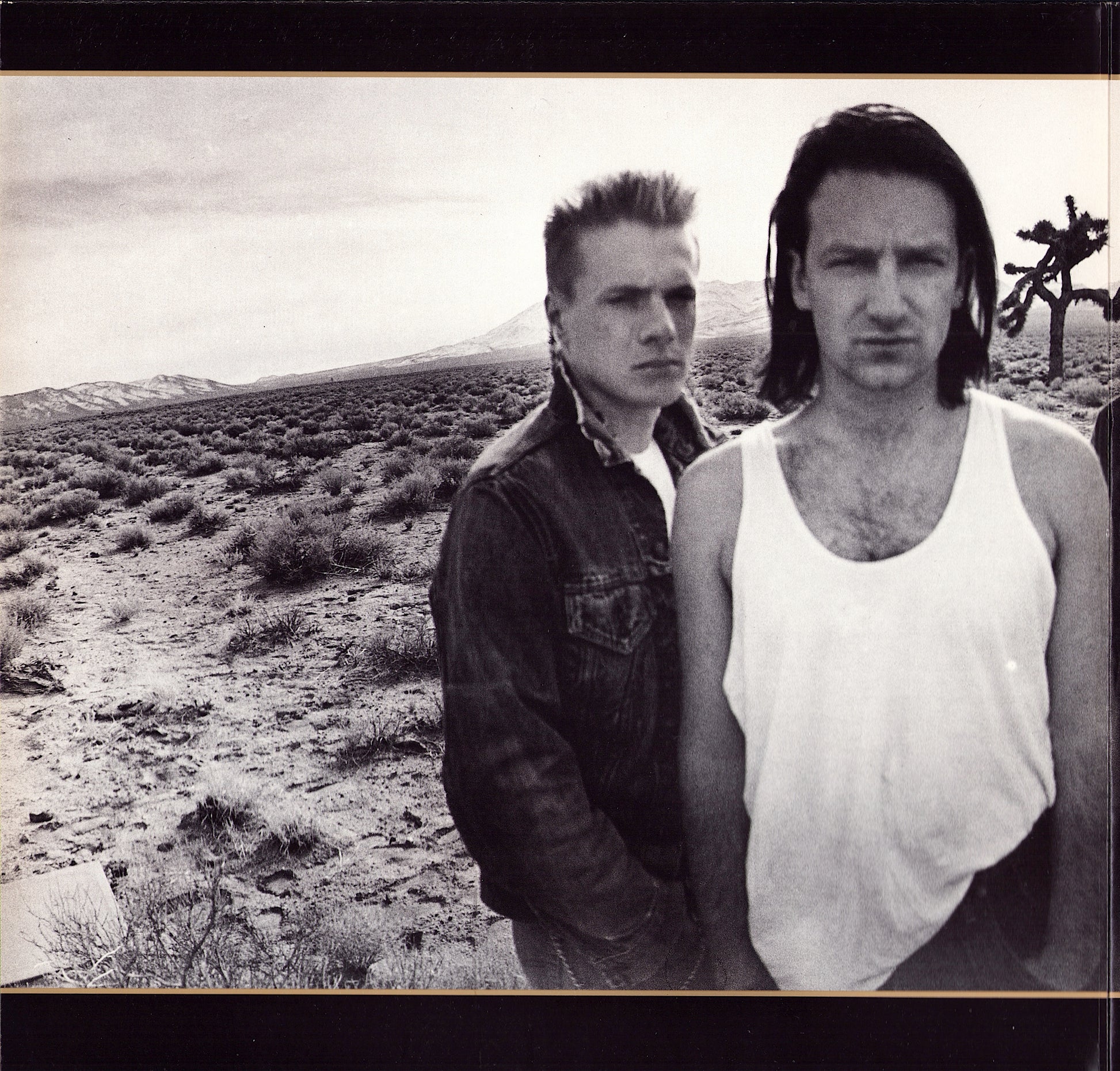 U2 ‎- The Joshua Tree