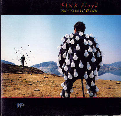 Pink Floyd – Delicate Sound Of Thunder (Vinyl 2LP)
