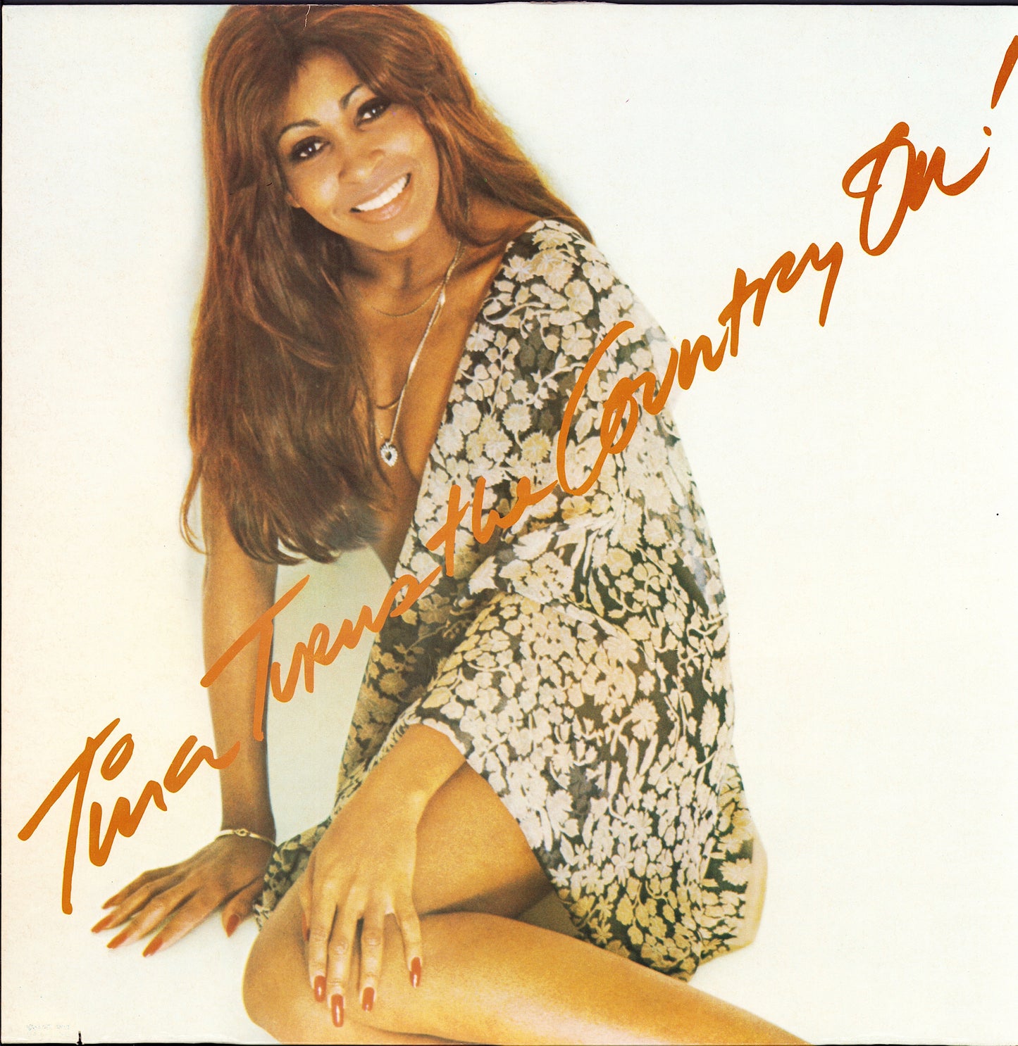 Tina Turner - Tina Turns The Country On (Vinyl LP)