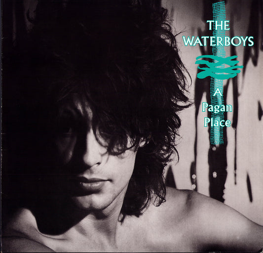 The Waterboys - A Pagan Place (Vinyl LP)