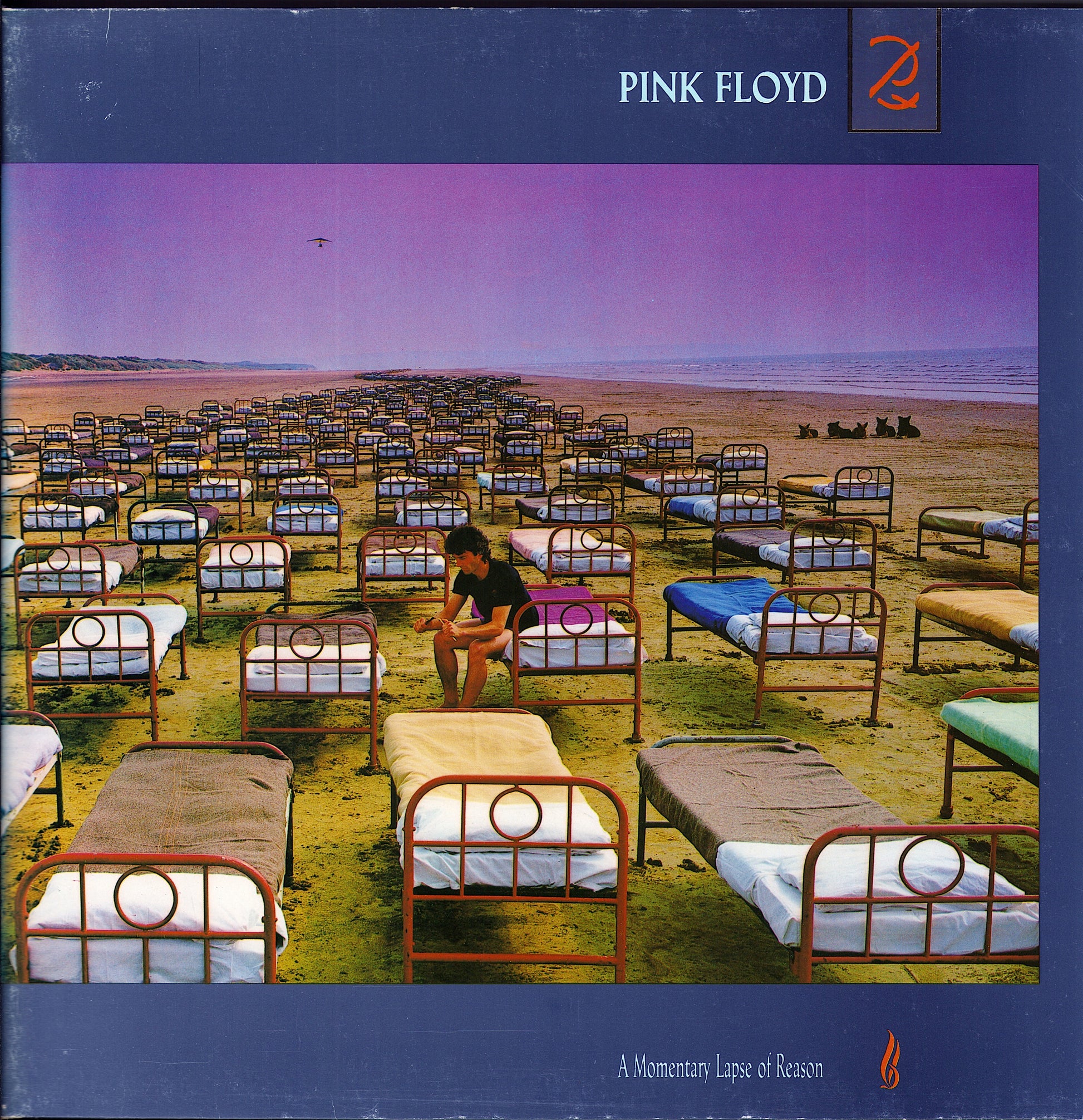 Pink Floyd ‎- A Momentary Lapse Of Reason Vinyl LP