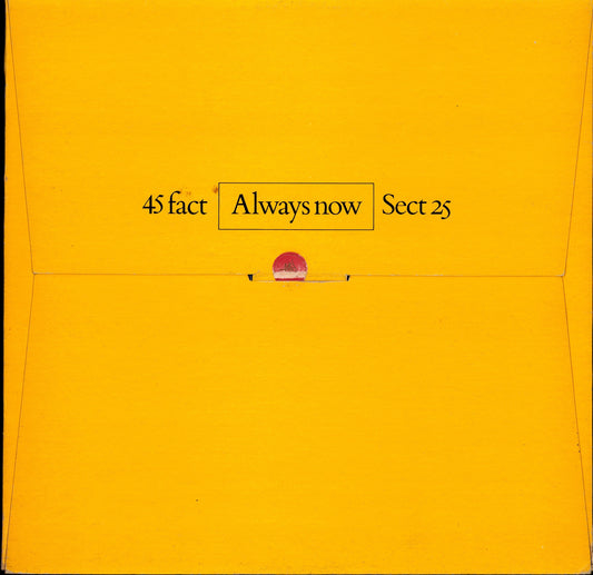 Trisomy 21 ‎- Final Work (Vinyl 12")