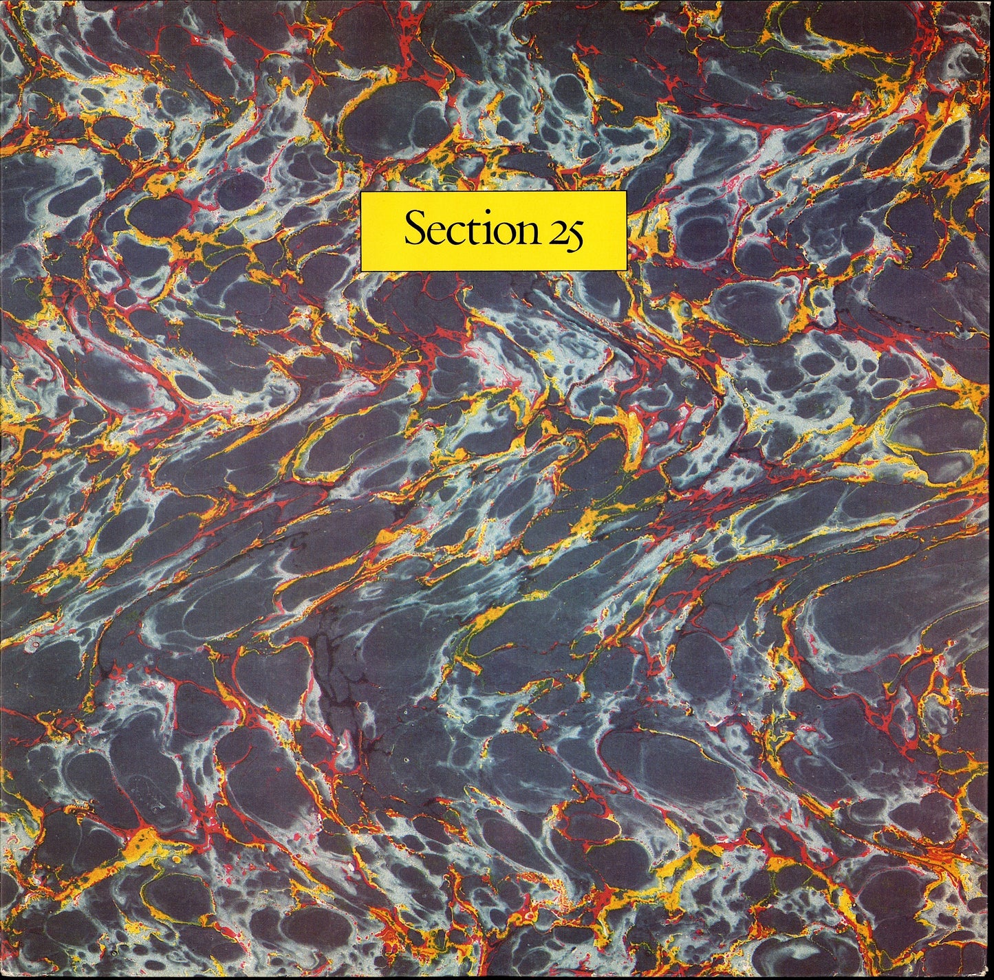 Trisomy 21 ‎- Final Work (Vinyl 12")