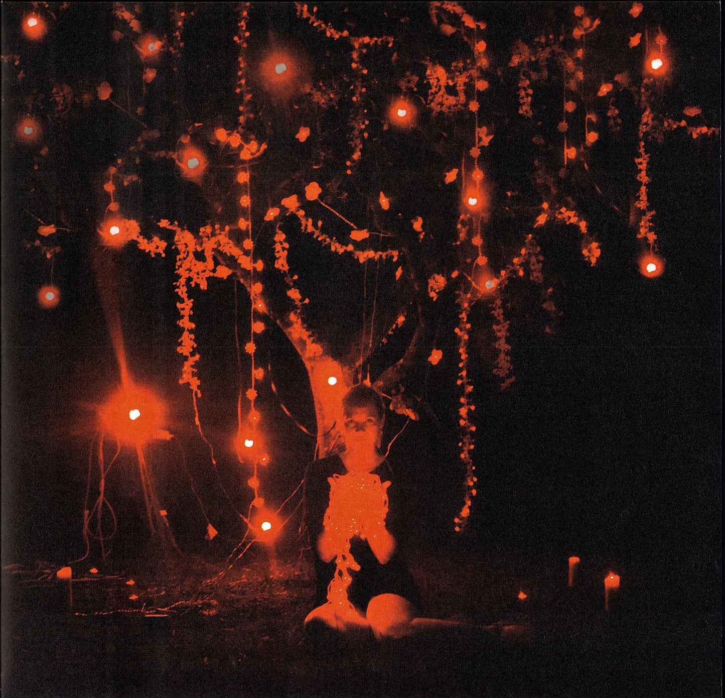 Sophie Hunger – The Danger Of Light Vinyl 2LP + CD, CH Original