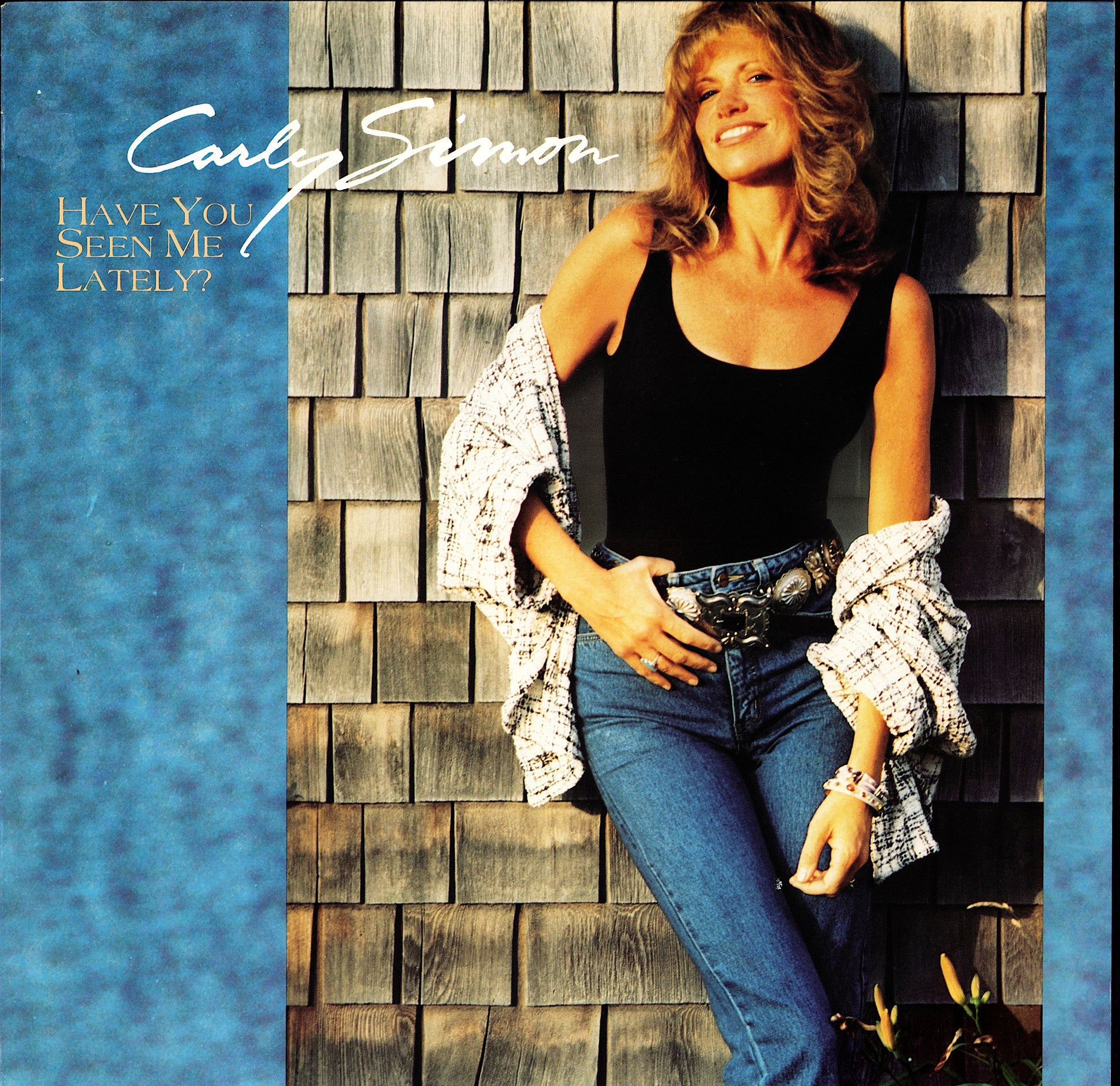 Carly Simon – Boys in the Trees Vinyl LP Kopie