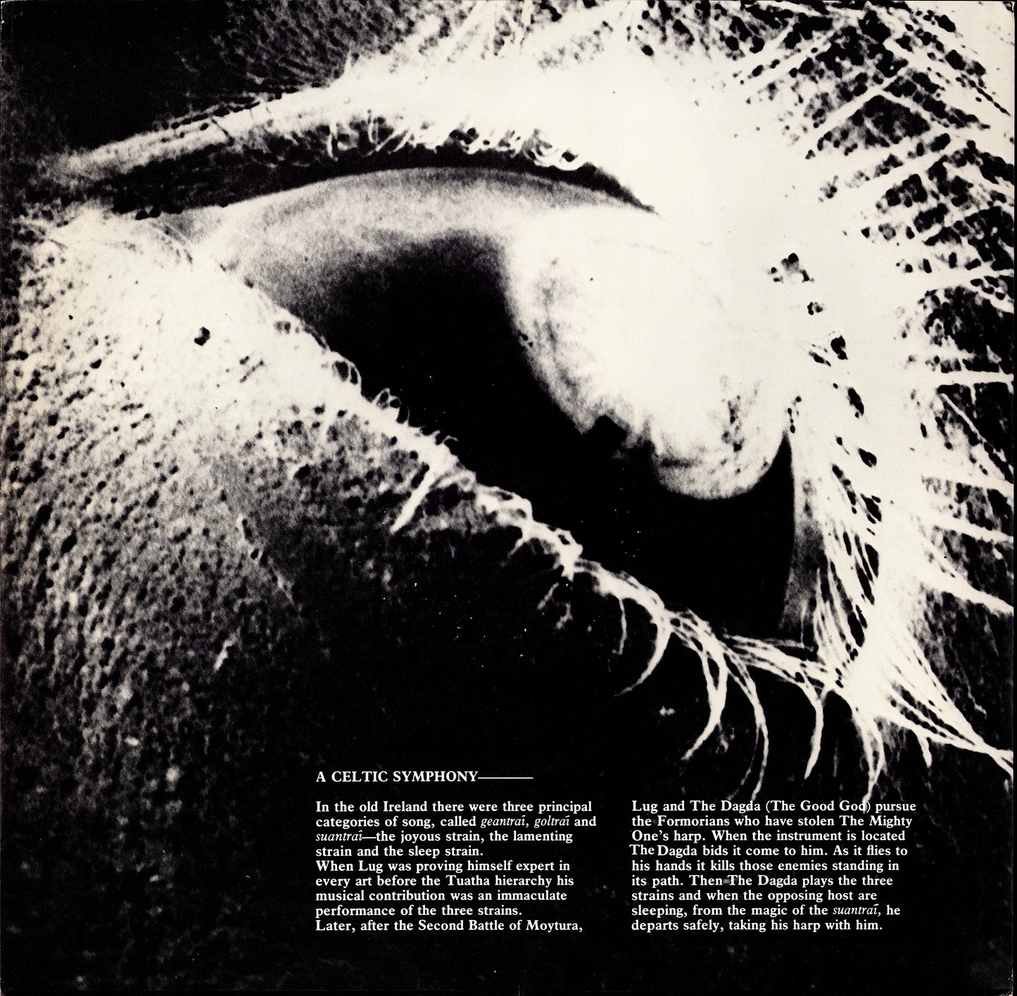 10,000 Maniacs – The Wishing Chair Vinyl LP Kopie