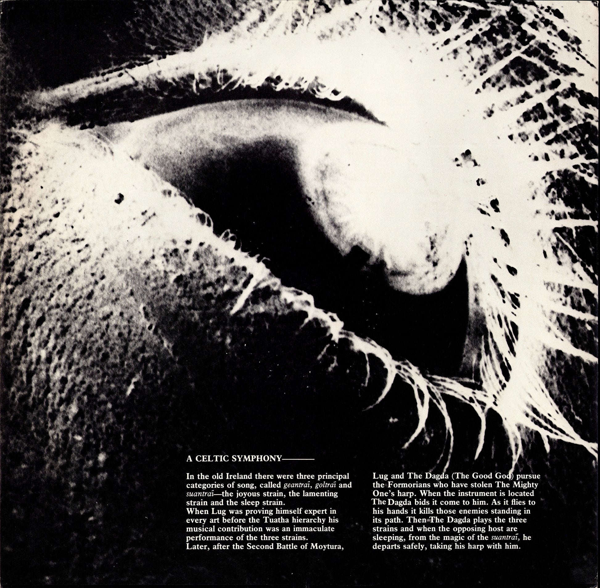 10,000 Maniacs – The Wishing Chair Vinyl LP Kopie