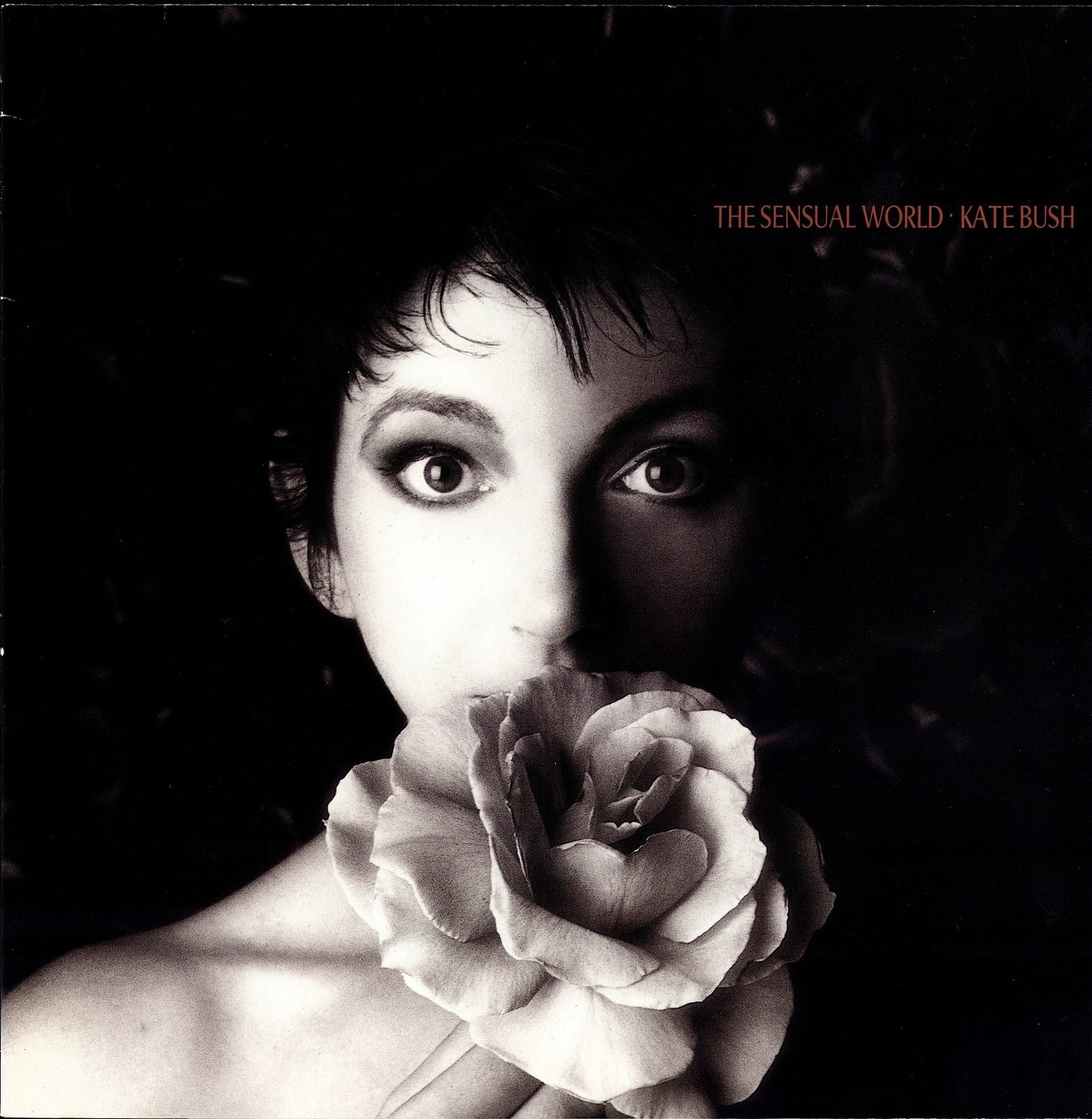 Kate Bush - The Sensual World Vinyl LP Kopie