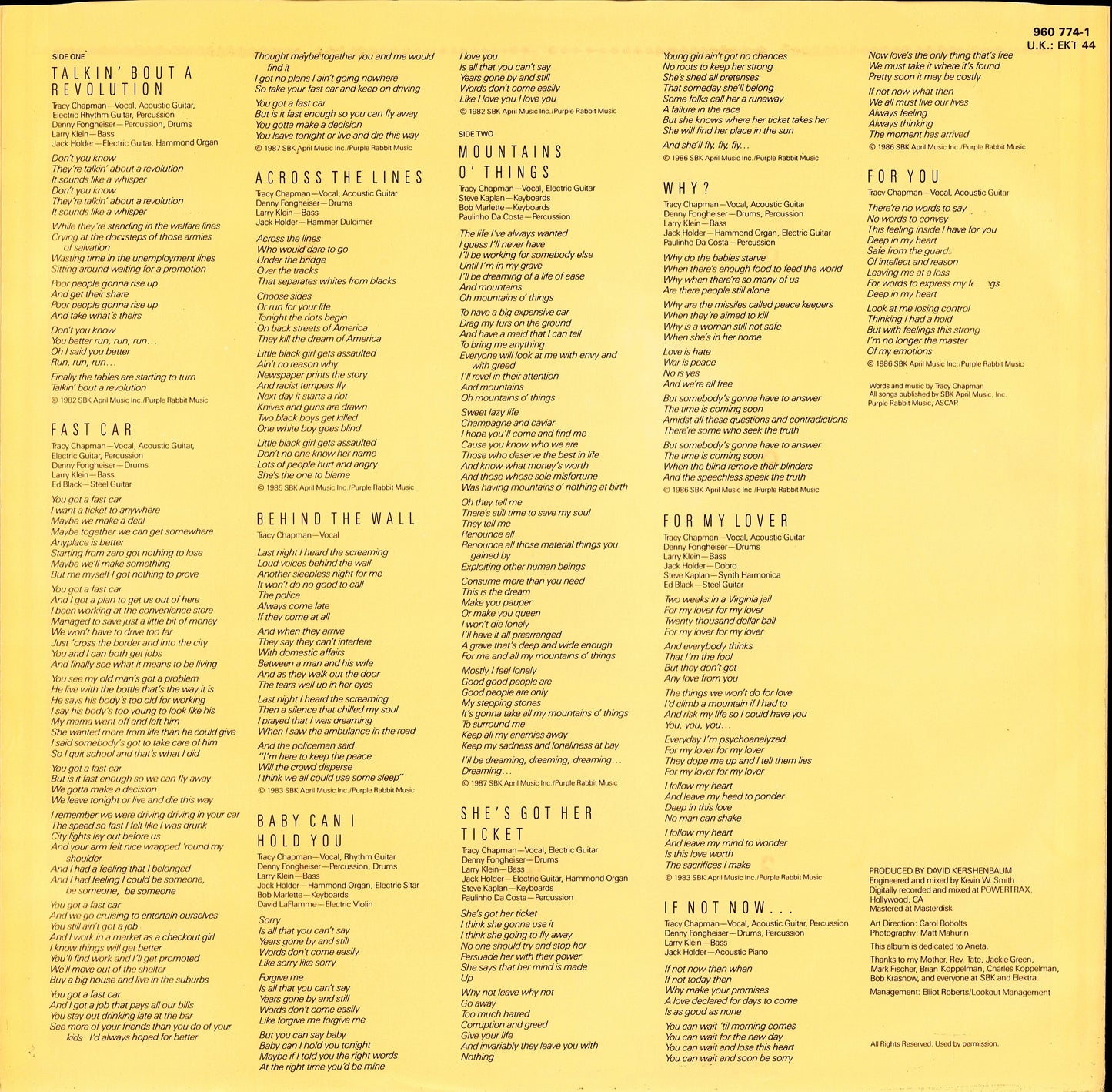 Tracy Chapman ‎- Tracy Chapman (Vinyl LP) 