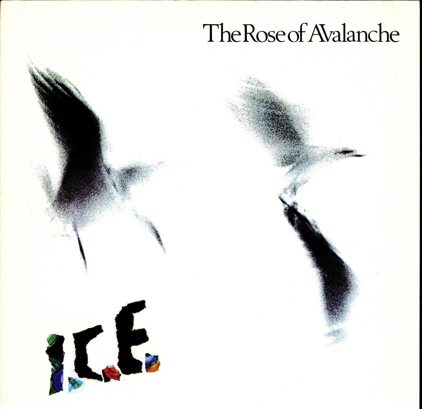 Butthole Surfers – Locust Abortion Technician Vinyl LP Kopie