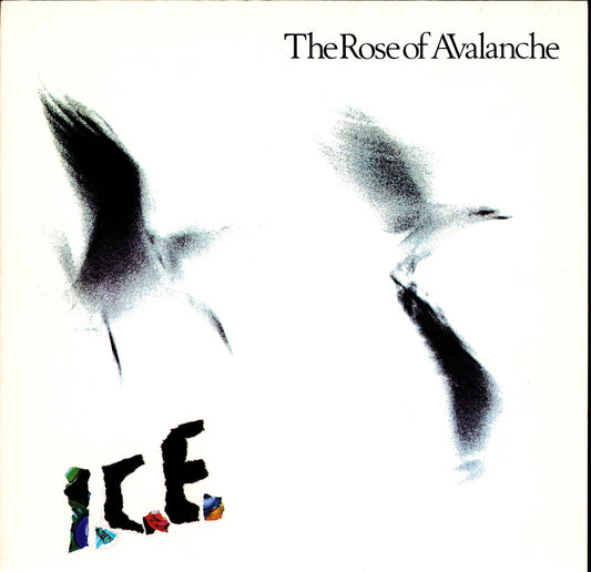 Butthole Surfers – Locust Abortion Technician Vinyl LP Kopie