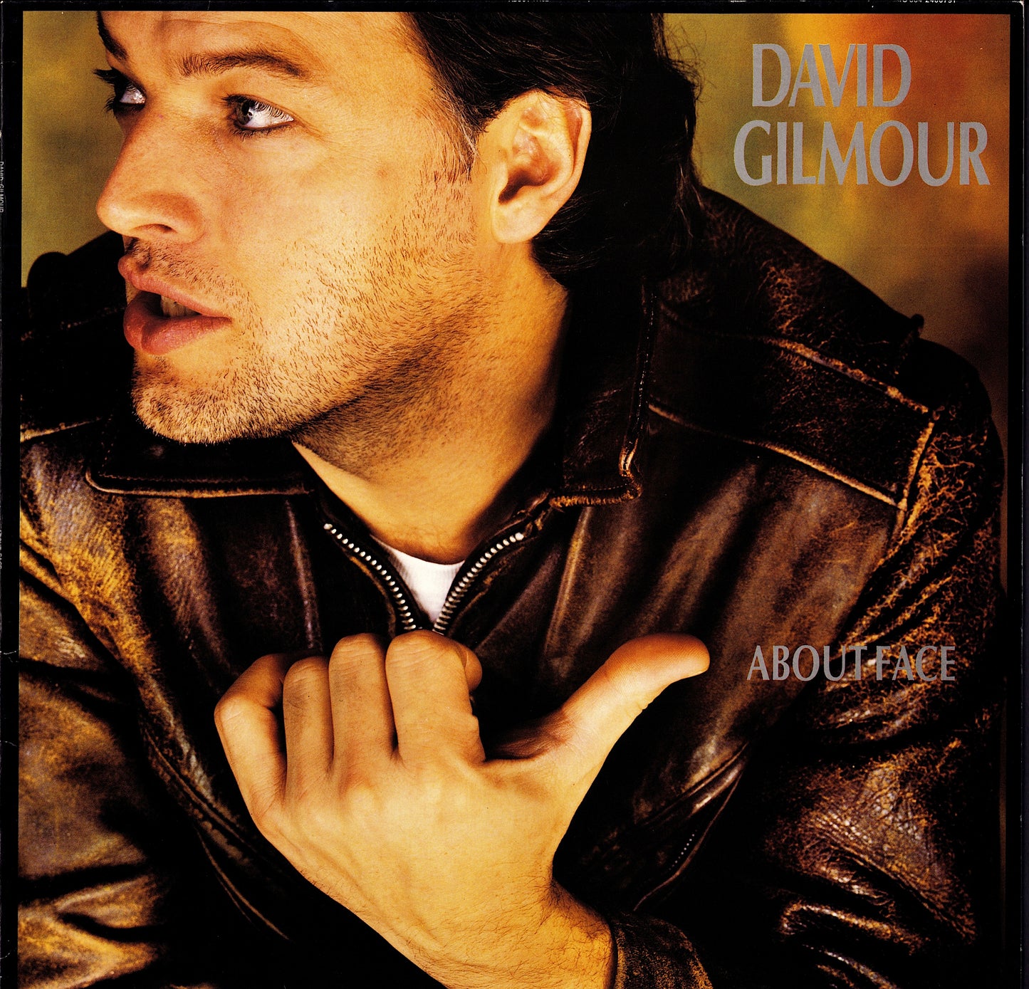 David Gilmour - About Face Vinyl LP