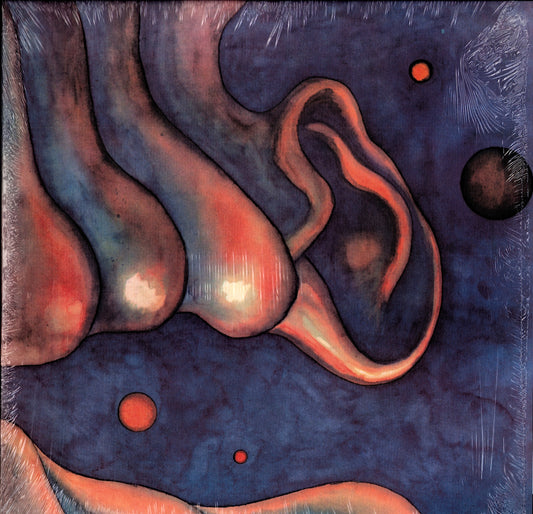 King Crimson – In The Court Of The Crimson King (Vinyl LP | UK/EU/US Reissue | 200g | 2018)