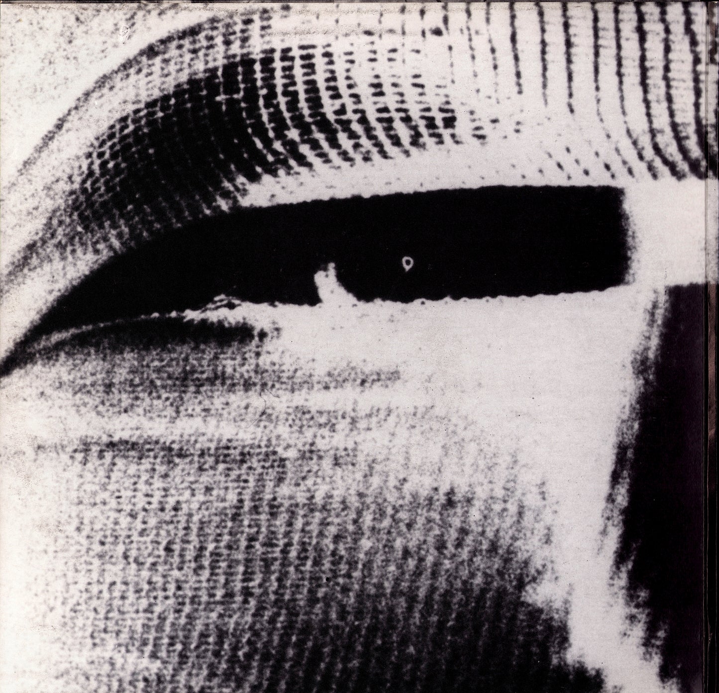 Trisomie 21 ‎- Final Work Vinyl 12" Kopie Kopie Kopie Kopie Kopie Kopie Kopie