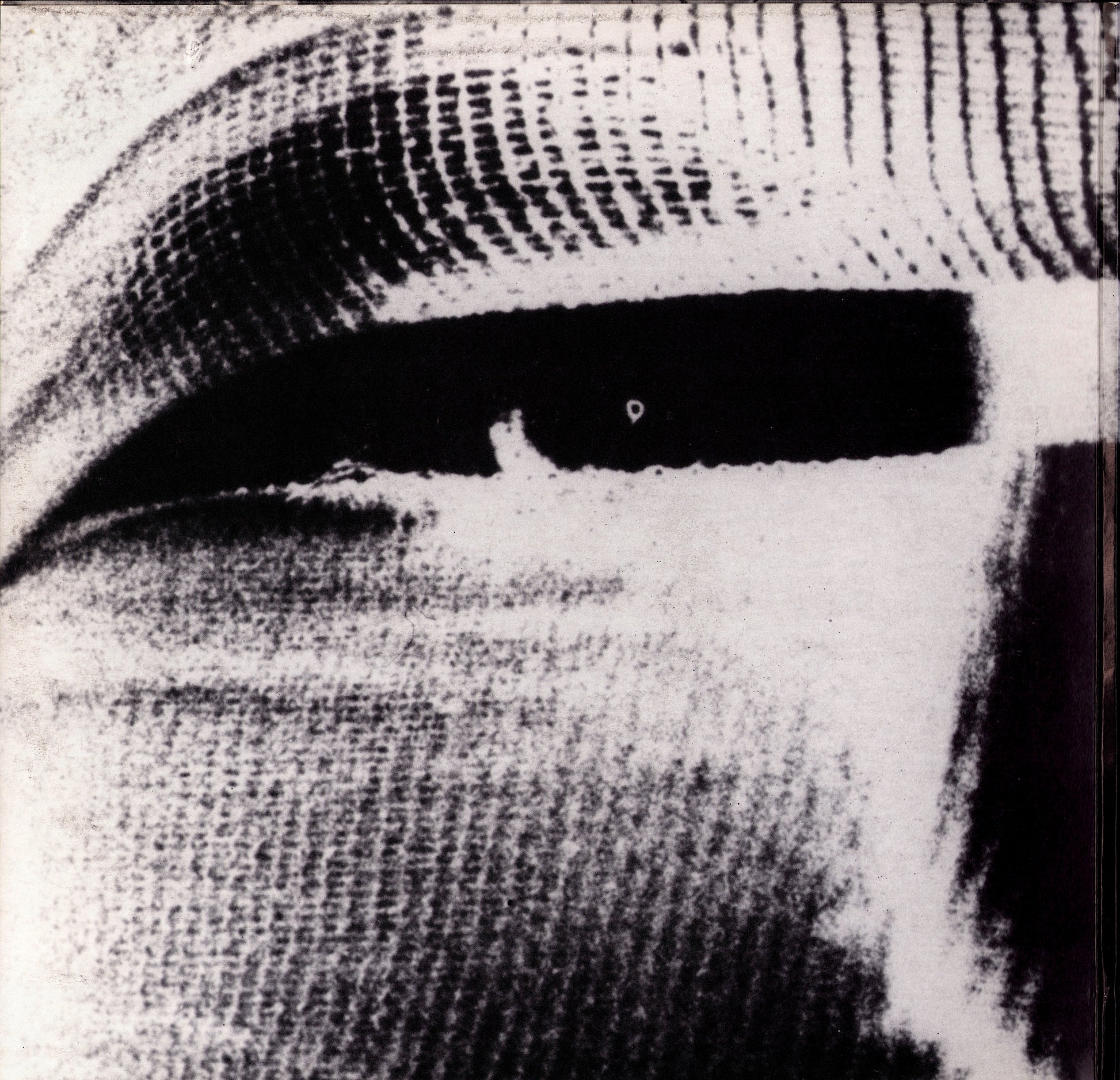 Trisomie 21 ‎- Final Work Vinyl 12" Kopie Kopie Kopie Kopie Kopie Kopie Kopie