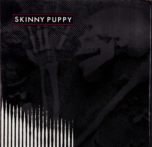 Trisomie 21 ‎- Final Work Vinyl 12" Kopie Kopie