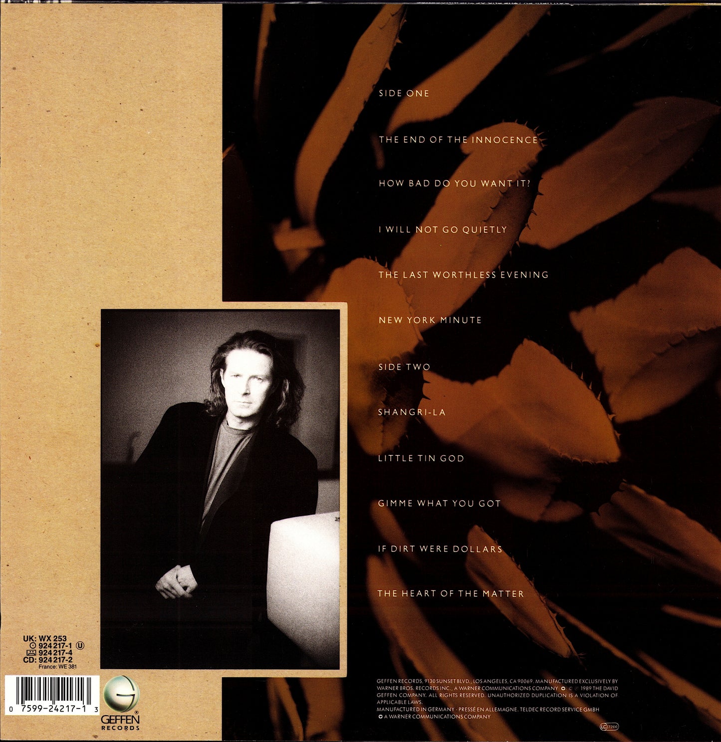 Don Henley – The End Of The Innocence (Vinyl LP)