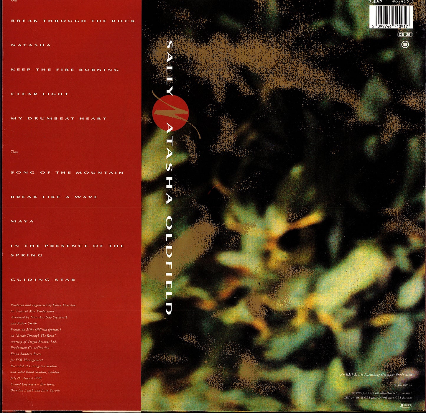 Sally Oldfield – Instincts Vinyl LP Kopie