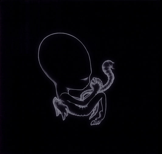 Wardruna – Runaljod: Yggdrasil Vinyl 2LP | Marbled Swamp Green/Black | NO Reissue | 2020 Kopie Kopie Kopie Kopie