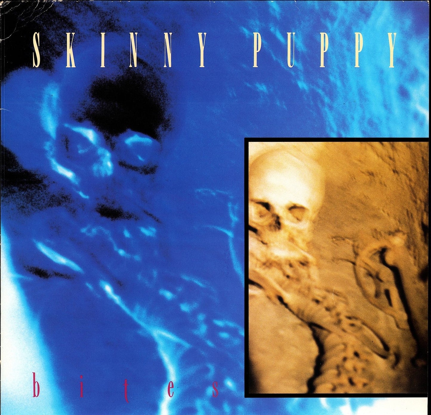 Trisomie 21 ‎- Final Work Vinyl 12" Kopie